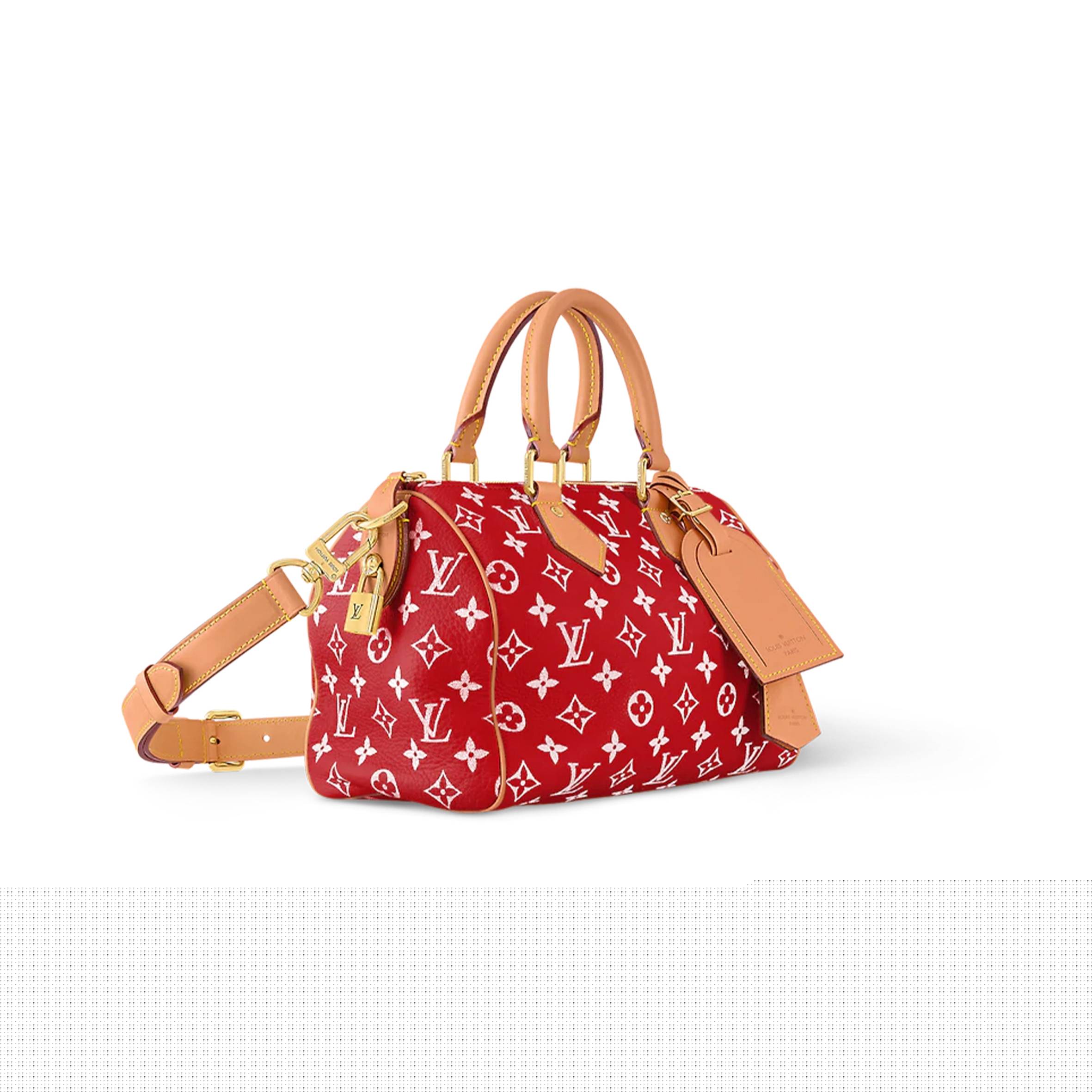 l**is V*t*n speedy p9 bandouliÈre 25 m24425 (25*15*15cm)